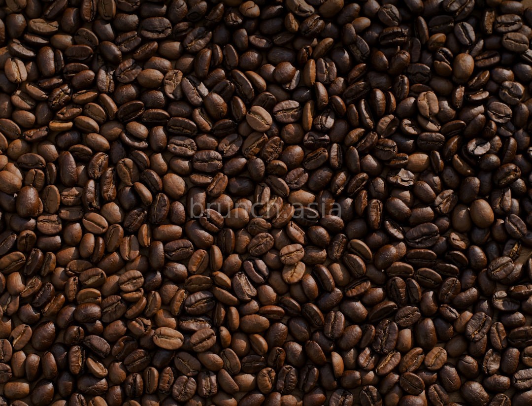 Atmosphere